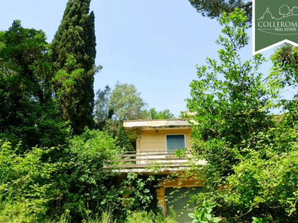 Tanzi 1